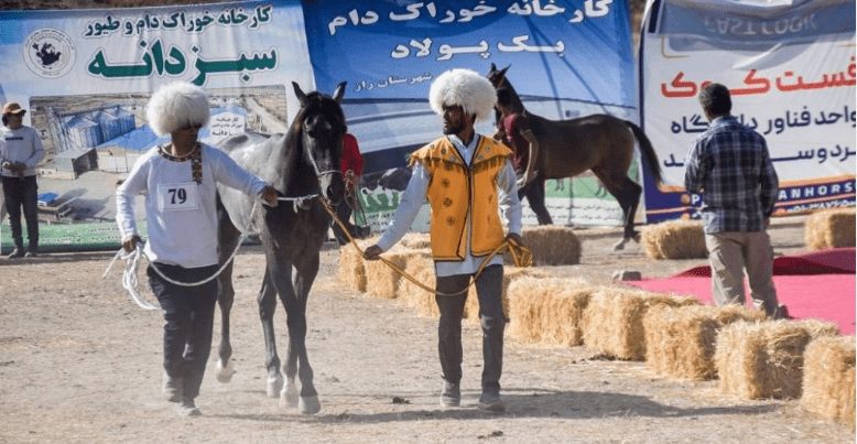 حمایت مالی و اسپانسری فست‌کوک از جشنواره زیبایی تازه قلعه، در منطقه راز و جرگلان