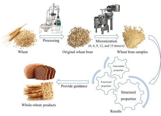 تاریخچه میکرونیزاسیون - نمونه‌ای از فرآیند میکرونیزاسیون - بعد از مقاله لورانس و همکارانش به فواید این فرآیند بیشتر توجه شد.
