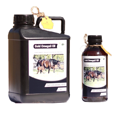 روغن تامین انرژی اسب فست کوک، گلد امگا 3: روغن آرامش بخش اسب، مخصوص اسب ورزشی، مناسب تقویت جنین اسب و افزایش دهنده استقامت اسب برای مسابقات ورزشی