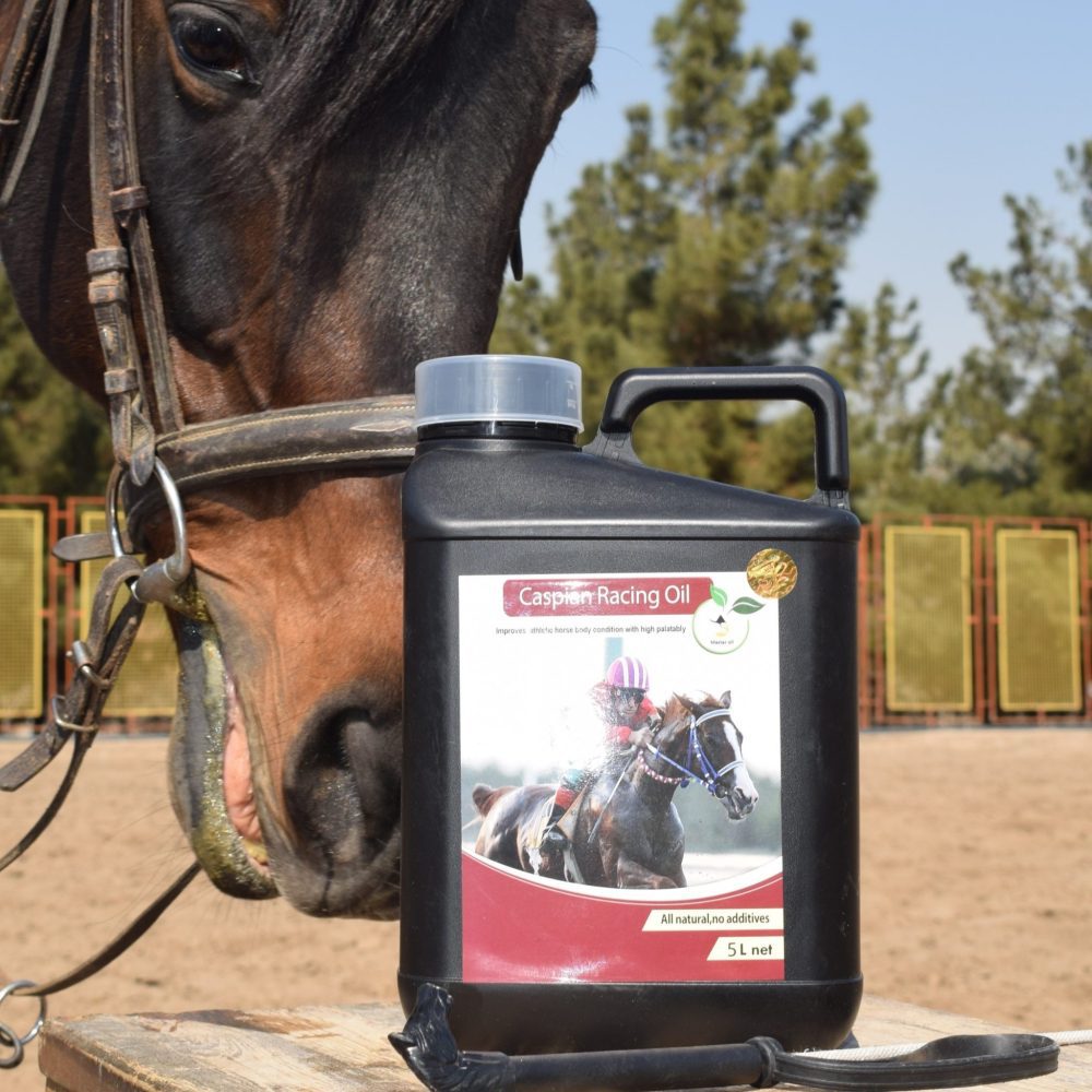 روغن خوراکی تقویت رشد عضلات اسب، کاسپین ریسینگ فست کوک: روغن اختصاصی اسب ورزشی، حاوی گاما اوریزانول، با امگا 3، افزایش دهنده استقامت اسب.