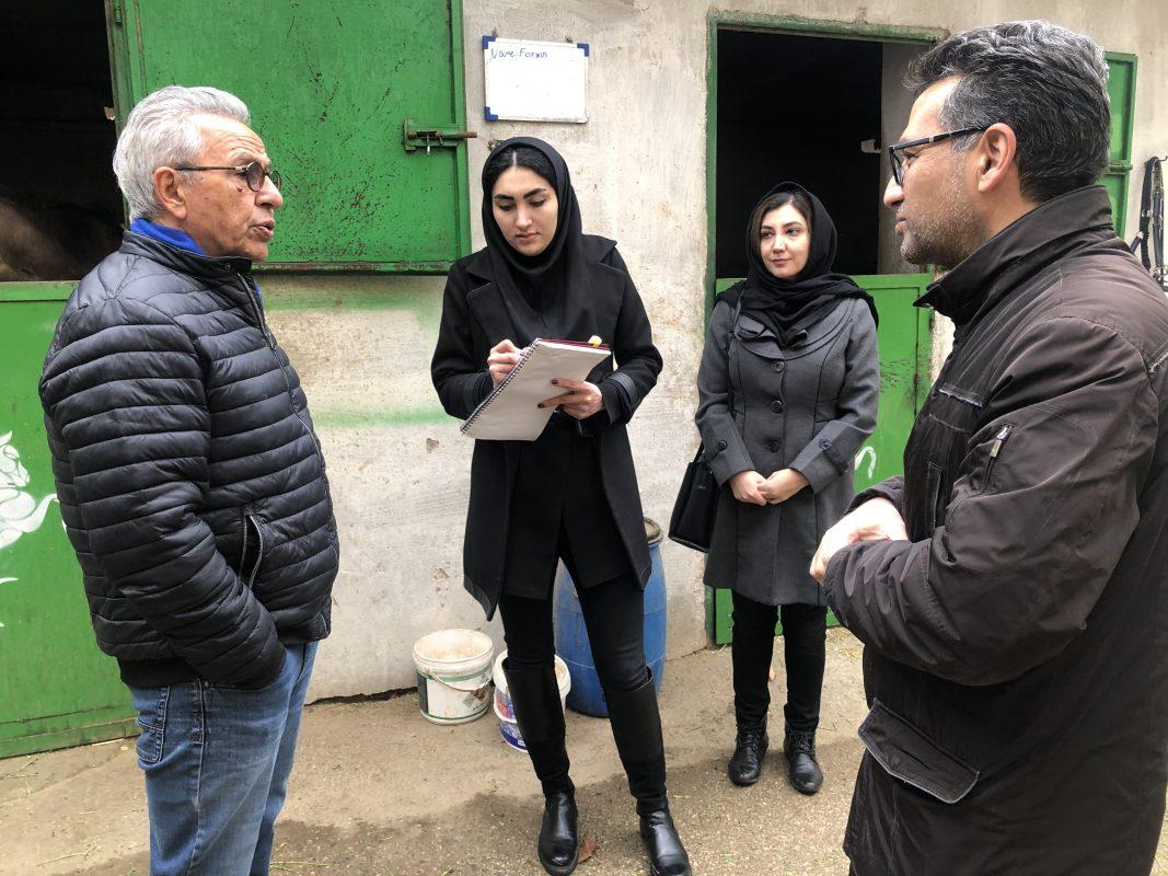 سیدهادی ابراهیمی عضو هیئت علمی دانشگاه فردوسی مشهد و رئیس هیئت مدیره فستکوک از باشگاه سوارکاری ارشاد مشهد.