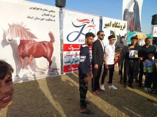 مقام قهرمانی مشتریان فست‌کوک در جشنواره اسب اصیل عرب خوزستان (جام مروادی دل مار) که 5 اسفند ماه سال 1401 در شوش