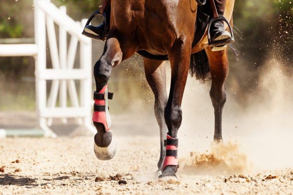 کالفورمیکس