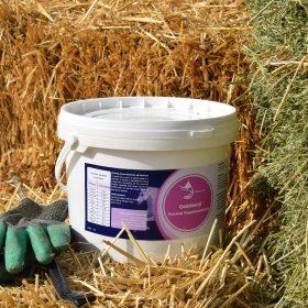 مکمل اختصاصی اسب فست‌کوک