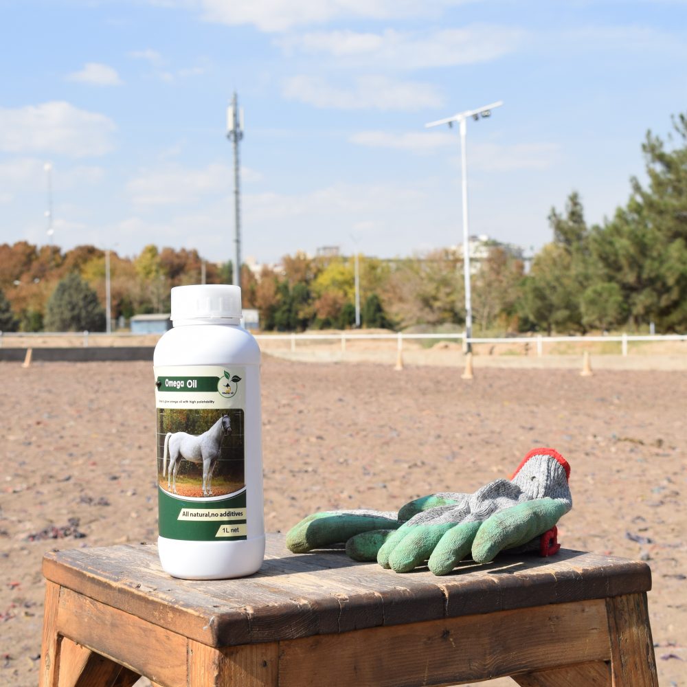 روغن خوراکی تقویت مفصل و سم اسب امگاپلاس فست‌کوک؛ حاوی امگا 3، 6، 9 برای سلامت مفاصل، سم و باروری؛ پیشگیری از آرتروز و مشکلات حرکتی؛ حفظ نطفه اسب پس از کشش