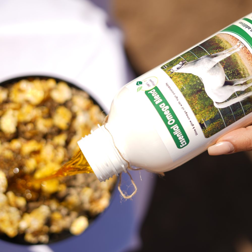 روغن خوراکی تقویت مفصل و سم اسب امگاپلاس فست‌کوک؛ حاوی امگا 3، 6، 9 برای سلامت مفاصل، سم و باروری؛ پیشگیری از آرتروز و مشکلات حرکتی؛ حفظ نطفه اسب پس از کشش