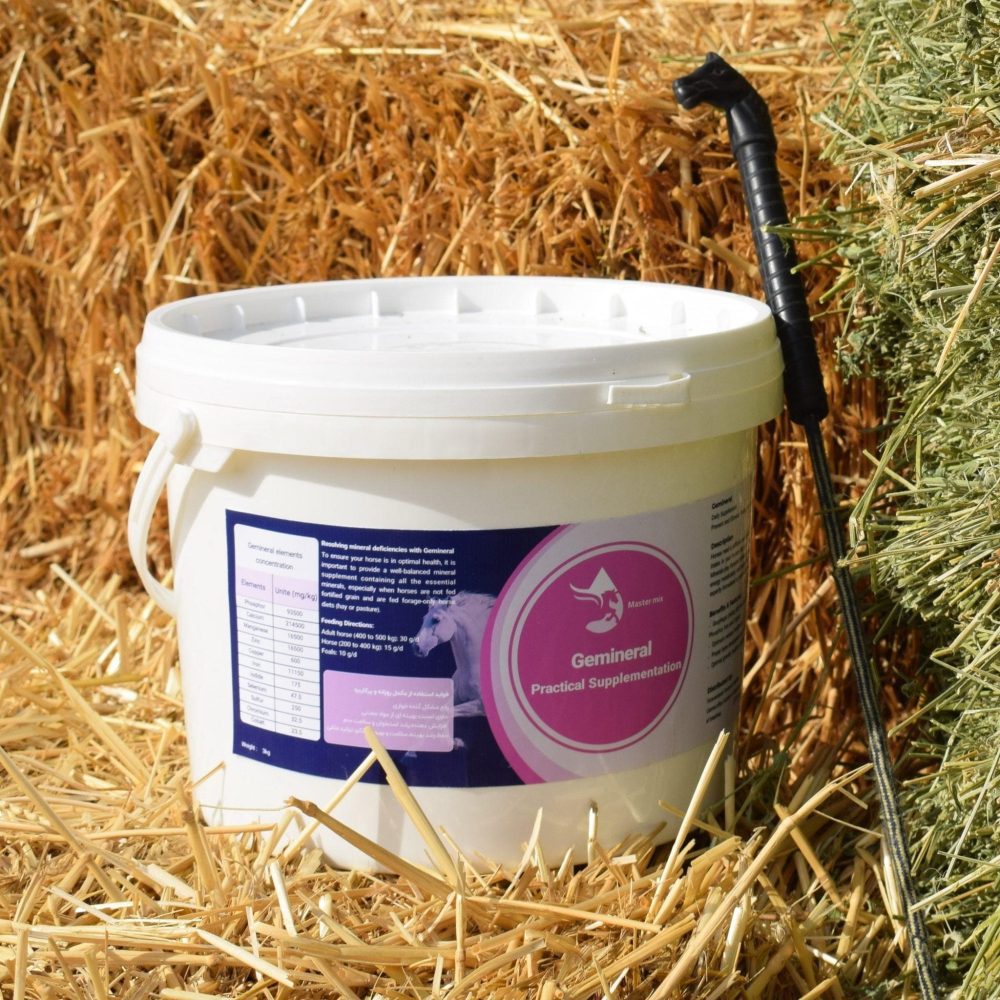 مکمل خوراکی اسب جمینرال فست‌کوک، مناسب برای تقویت دستگاه گوارش اسب، رفع گنده خواری، بهبود هضم غذا و افزایش سلامت روده، قابل استفاده در اسب بالغ و کره‌اسب.