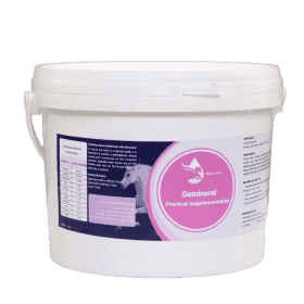 مکمل خوراکی اسب جمینرال فست‌کوک، مناسب برای تقویت دستگاه گوارش اسب، رفع گنده خواری، بهبود هضم غذا و افزایش سلامت روده، قابل استفاده در اسب بالغ و کره‌اسب.