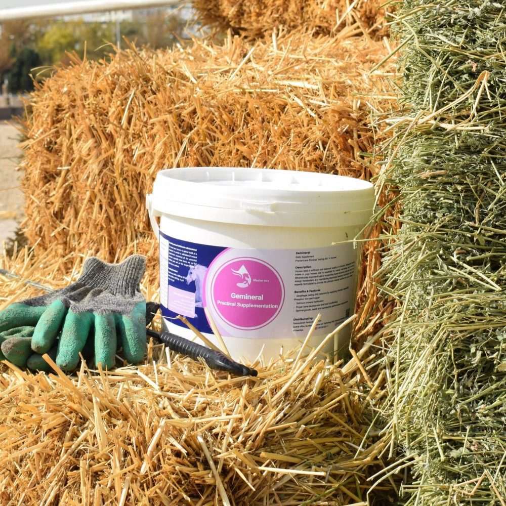 مکمل خوراکی اسب جمینرال فست‌کوک، مناسب برای تقویت دستگاه گوارش اسب، رفع گنده خواری، بهبود هضم غذا و افزایش سلامت روده، قابل استفاده در اسب بالغ و کره‌اسب.