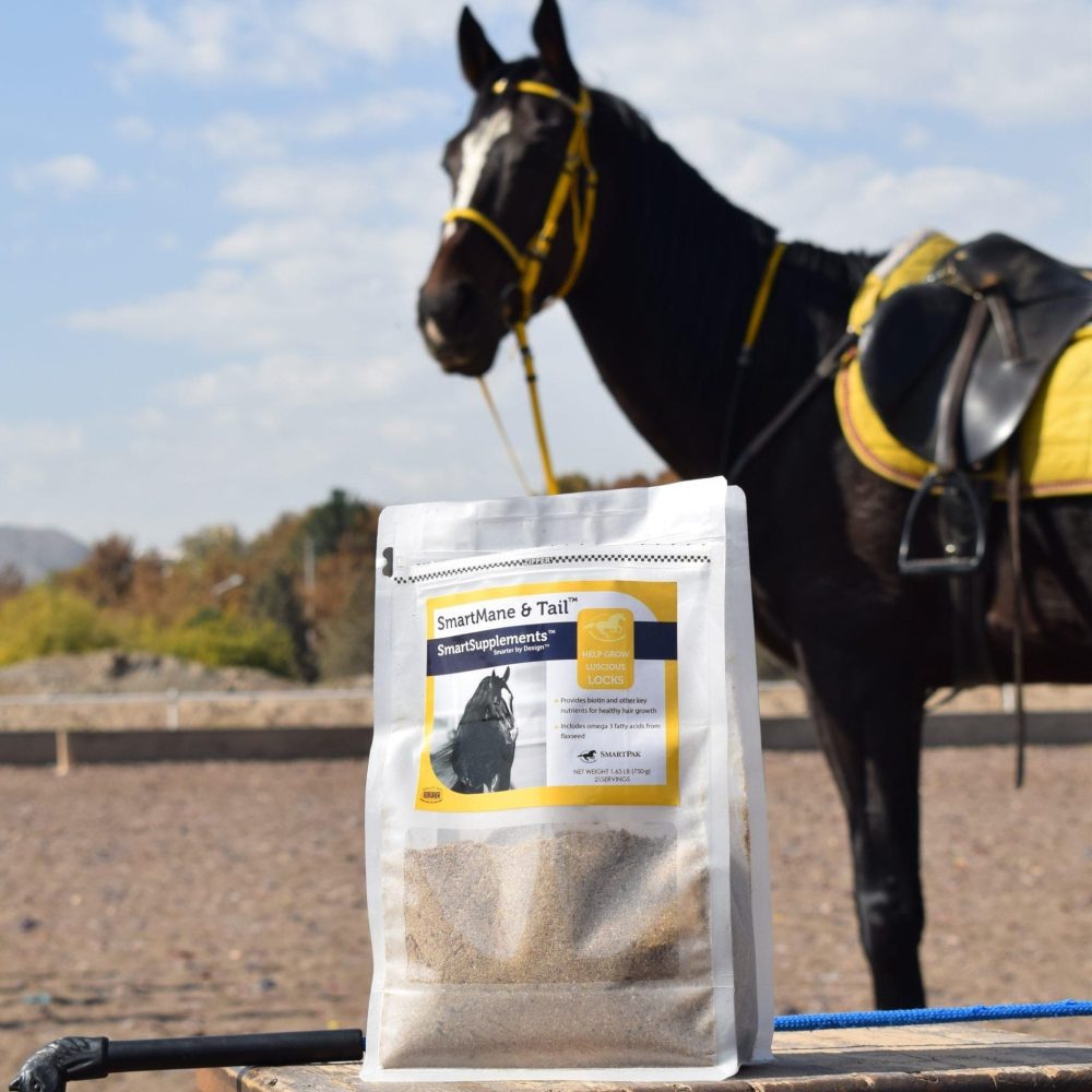 مکمل یال و دم فست کوک