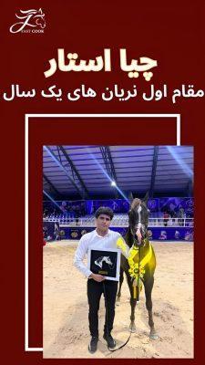 به پایان رسیدن مسابقات زیبایی اسب عرب ایران با افتخارآفرینی مشتریان فست‌کوک (پریما، چیا استار، چترا، سلطان جمیل)