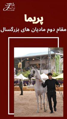 به پایان رسیدن مسابقات زیبایی اسب عرب ایران با افتخارآفرینی مشتریان فست‌کوک (پریما، چیا استار، چترا، سلطان جمیل)