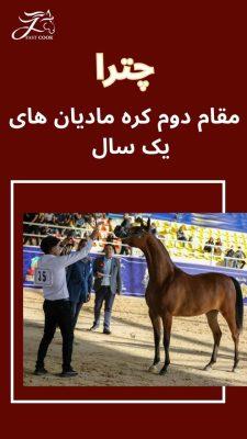 به پایان رسیدن مسابقات زیبایی اسب عرب ایران با افتخارآفرینی مشتریان فست‌کوک (پریما، چیا استار، چترا، سلطان جمیل)