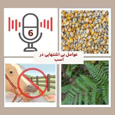 ششمین اپیزود پادکست فست‌کوک، پادکست تخصصی در زمینه تغذیه اسب، با موضوع عوامل بی‌اشتهایی اسب