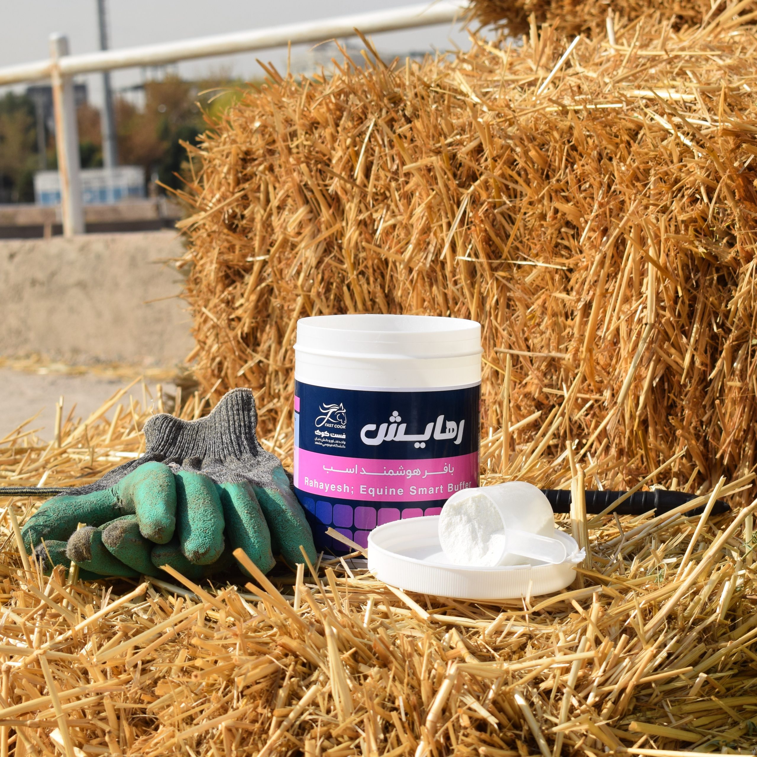 مکمل و بافر هوشمند برای روده بزرگ اسب محصولی علمی جهت تنظیم p، سلامت گوارشی و بهبود هضم اسب. مکملی ایدهآل برای پیشگیری از اسیدوز، کولیک و افزایش بازدهی.