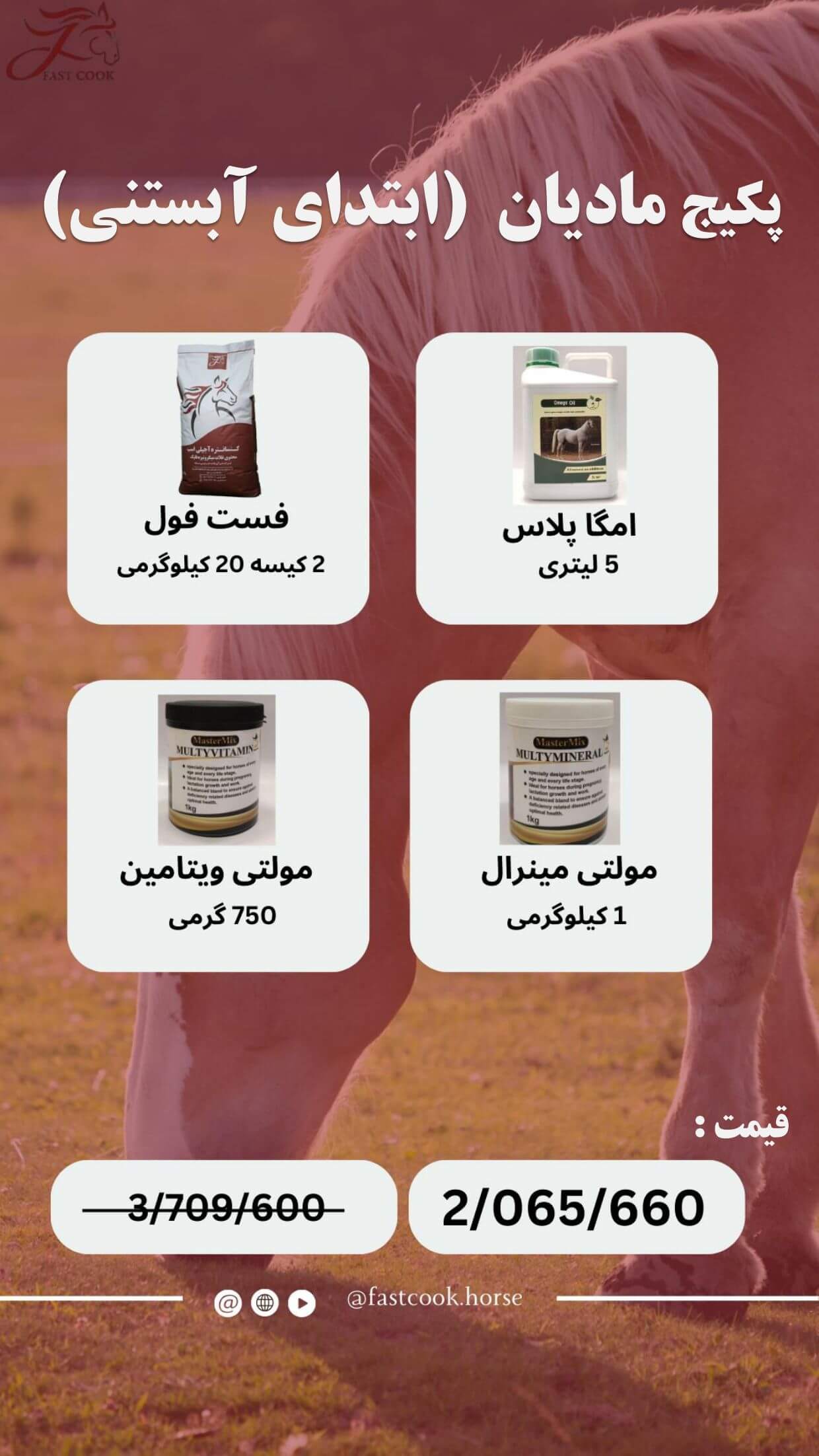 جشنواره زمستانی شرکت دانش‌بنیان فست‌کوک، در زمستان 1402، پکیج‌های اختصاصی برای انواع کلاسه‌های اسب - خوراک کنسانتره اسب، مکمل اسب، روغن اسب