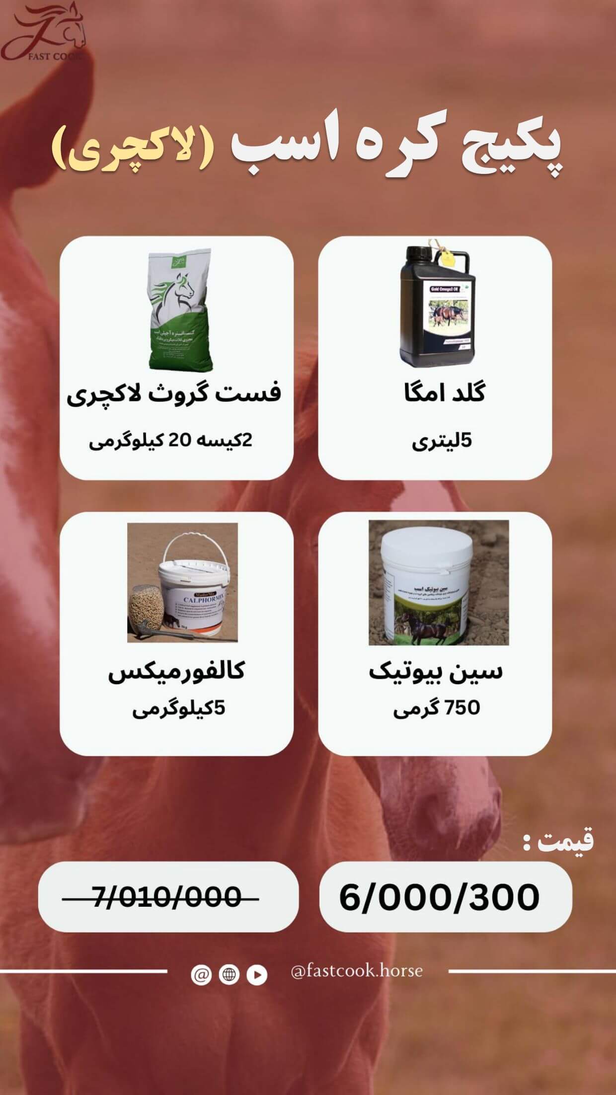 جشنواره زمستانی شرکت دانش‌بنیان فست‌کوک، در زمستان 1402، پکیج‌های اختصاصی برای انواع کلاسه‌های اسب - خوراک کنسانتره اسب، مکمل اسب، روغن اسب