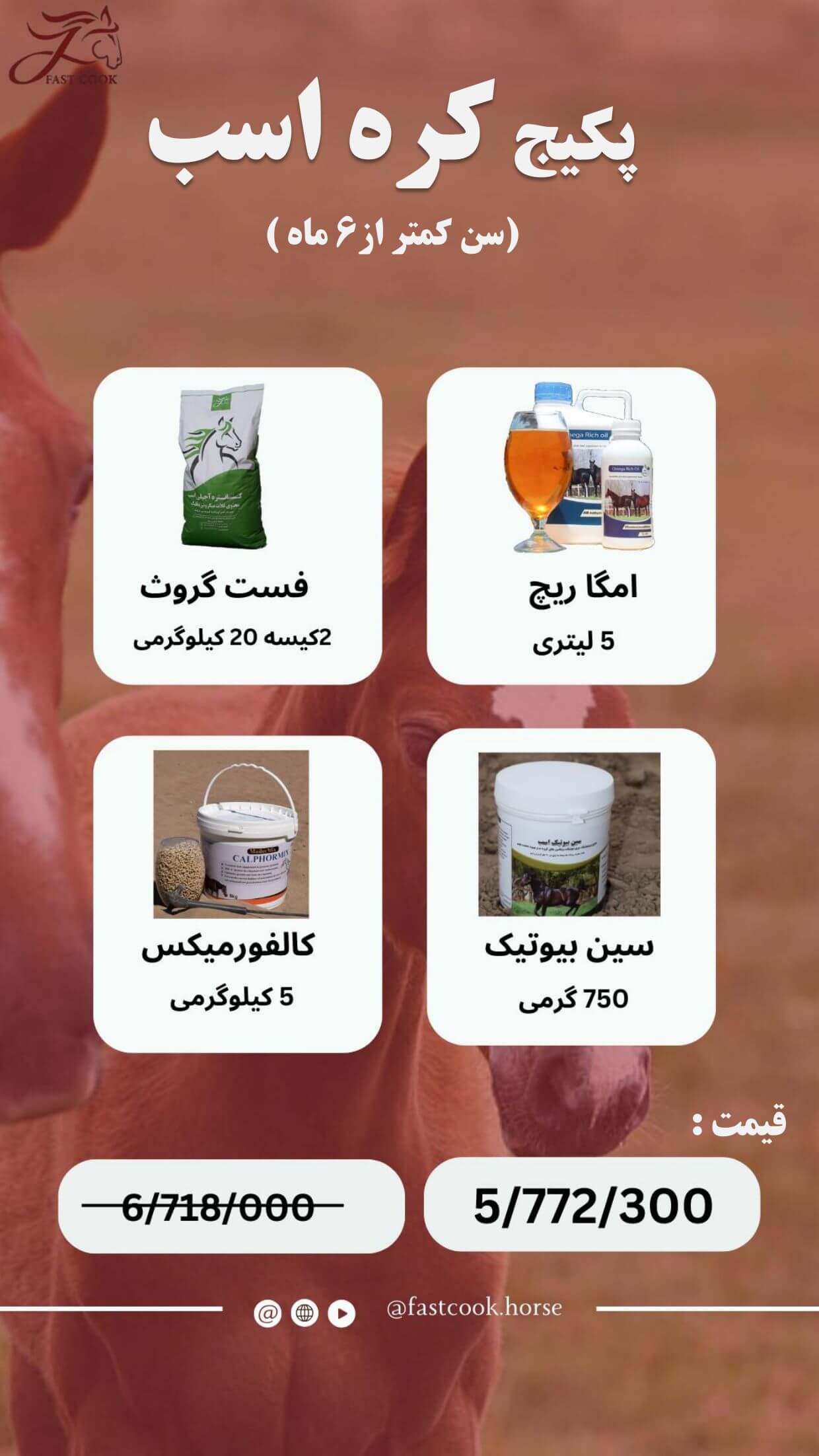 جشنواره زمستانی شرکت دانش‌بنیان فست‌کوک، در زمستان 1402، پکیج‌های اختصاصی برای انواع کلاسه‌های اسب - خوراک کنسانتره اسب، مکمل اسب، روغن اسب