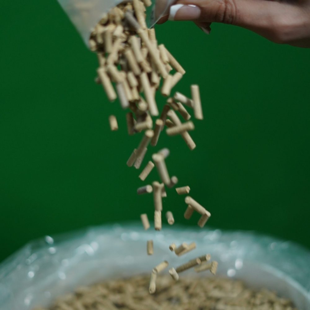 کالفورمیک (Calphormic)، مکمل رشد و تقویت کره اسب، مادیان آبستن و مادیان شیرده - کافورمیک، مکمل اختصاصی اسب، محصول گروه دانش بنیان فست‌کوک می‌باشد.