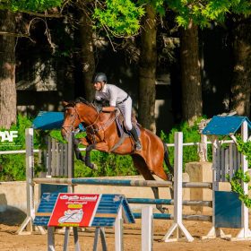 نخستین رویداد پرش با اسب هیات سواکاری خراسان رضوی به میزبانی مجموعه سوارکاری ارشاد، مورخ 11 خرداد ماه 1403، با شرکت 150 سوارکار - فست‌کوک