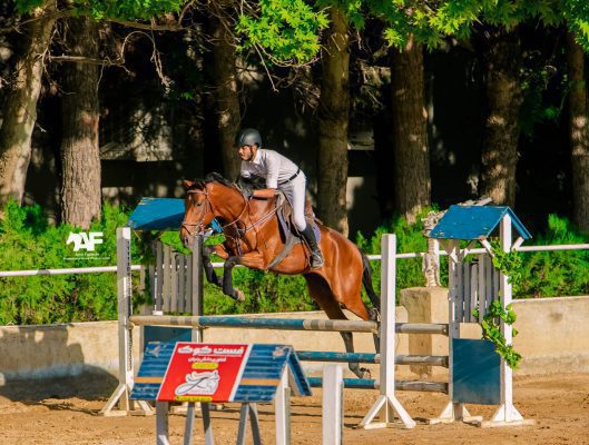 نخستین رویداد پرش با اسب هیات سواکاری خراسان رضوی به میزبانی مجموعه سوارکاری ارشاد، مورخ 11 خرداد ماه 1403، با شرکت 150 سوارکار - فست‌کوک