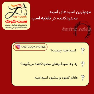اسیدهای آمینه ضروری به‌عنوان واحدهای سازنده پروتئین ها، نقش بسیار مهمی در تغذیه و سلامت اسب‌ و تقویت سیستم ایمنی و عملکرد ورزشی دارند...