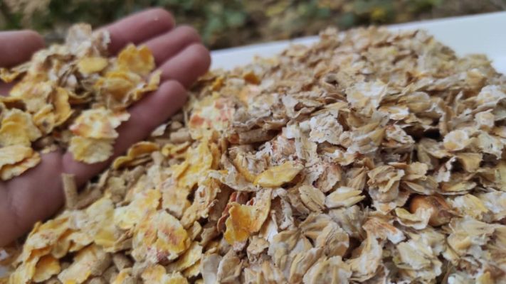 خوراک کنسانتره میکرونیزه آجیلی اسب فست‌کوک