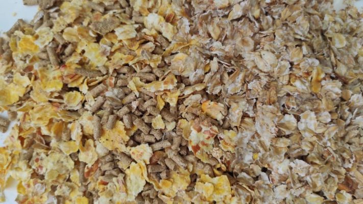 خوراک کنسانتره میکرونیزه آجیلی اسب فست‌کوک