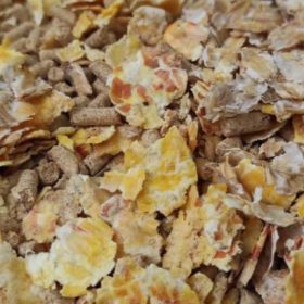 خوراک کنسانتره میکرونیزه فست‌کوک