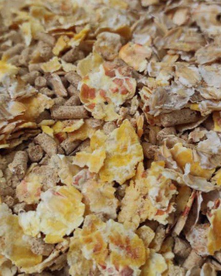 خوراک کنسانتره میکرونیزه فست‌کوک