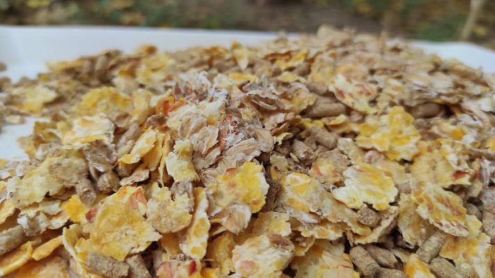 خوراک کنسانتره میکرونیزه آجیلی اسب فست‌کوک