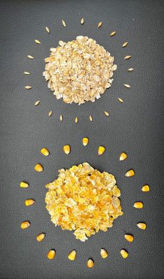 خوراک کنسانتره میکرونیزه آجیلی اسب فست‌کوک