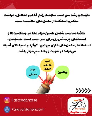 رشد و تقویت و سلامت سم اسب