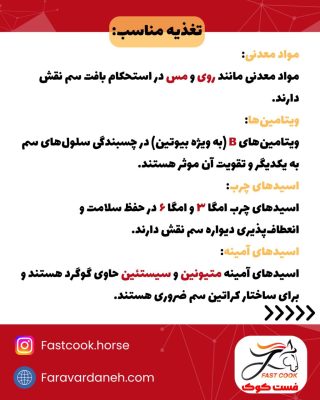 تغذیه مناسب؛ پایهای برای رشد سم اسب