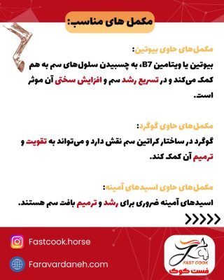 مکملهای موثر برای تقویت سم اسب