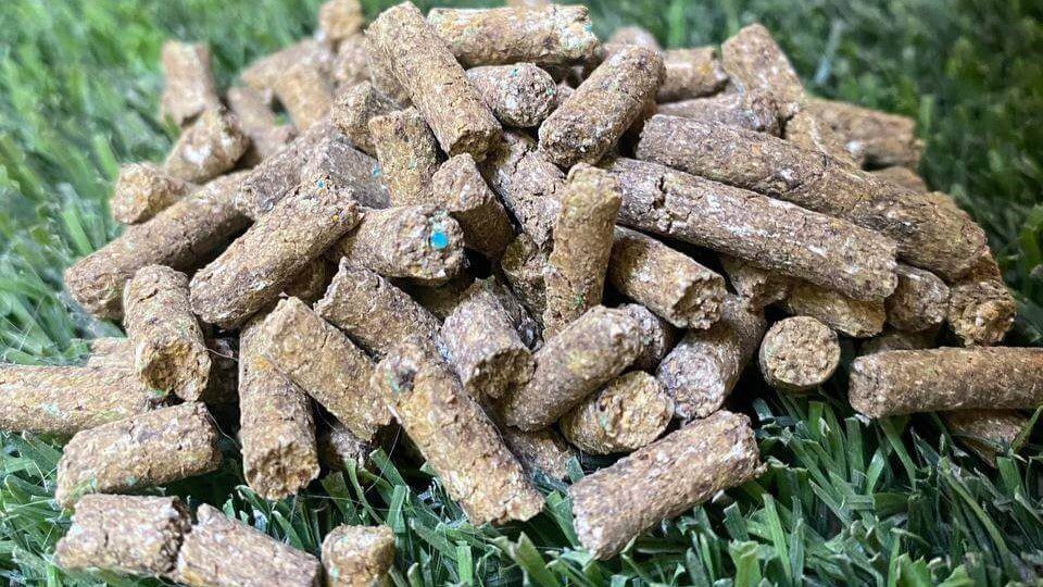 مهم ترین مواد معدنی ضروری در اسب: کلسیم، فسفر، پتاسیم، منیزیم و سایر عناصر کلیدی برای سلامت، انرژی، تقویت استخوان و معرفی مکمل معدنی اسب - مکمل میناویت