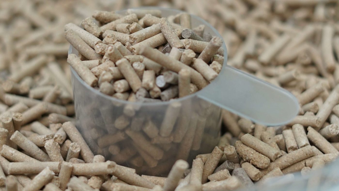 راهنمای کامل خرید مکمل های اختصاصی اسب فست کوک | معرفی بهترین مکمل های تقویتی و تخصصی، جهت افزایش انرژی و سلامت و بهبود عملکرد اسب