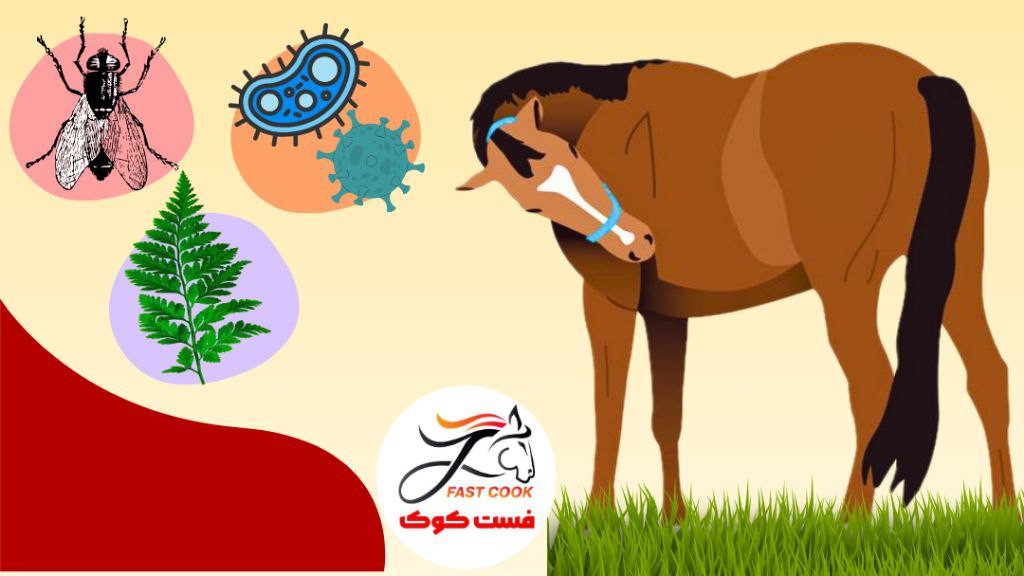 علائم آلرژی اسب