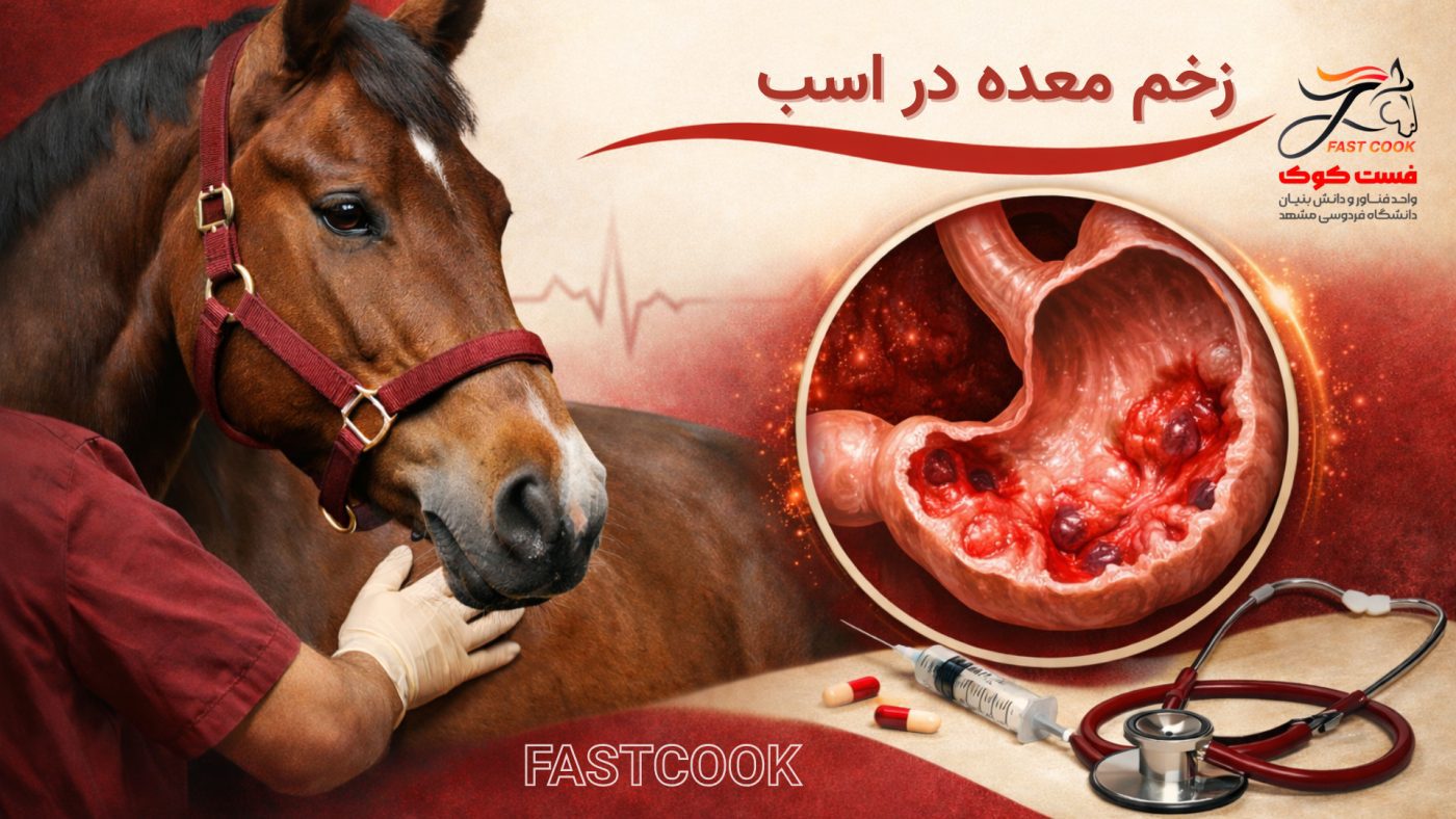 زخم معده در اسب