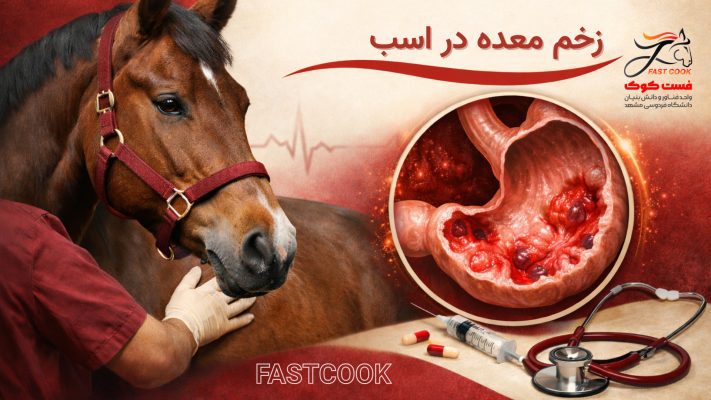 زخم معده در اسب