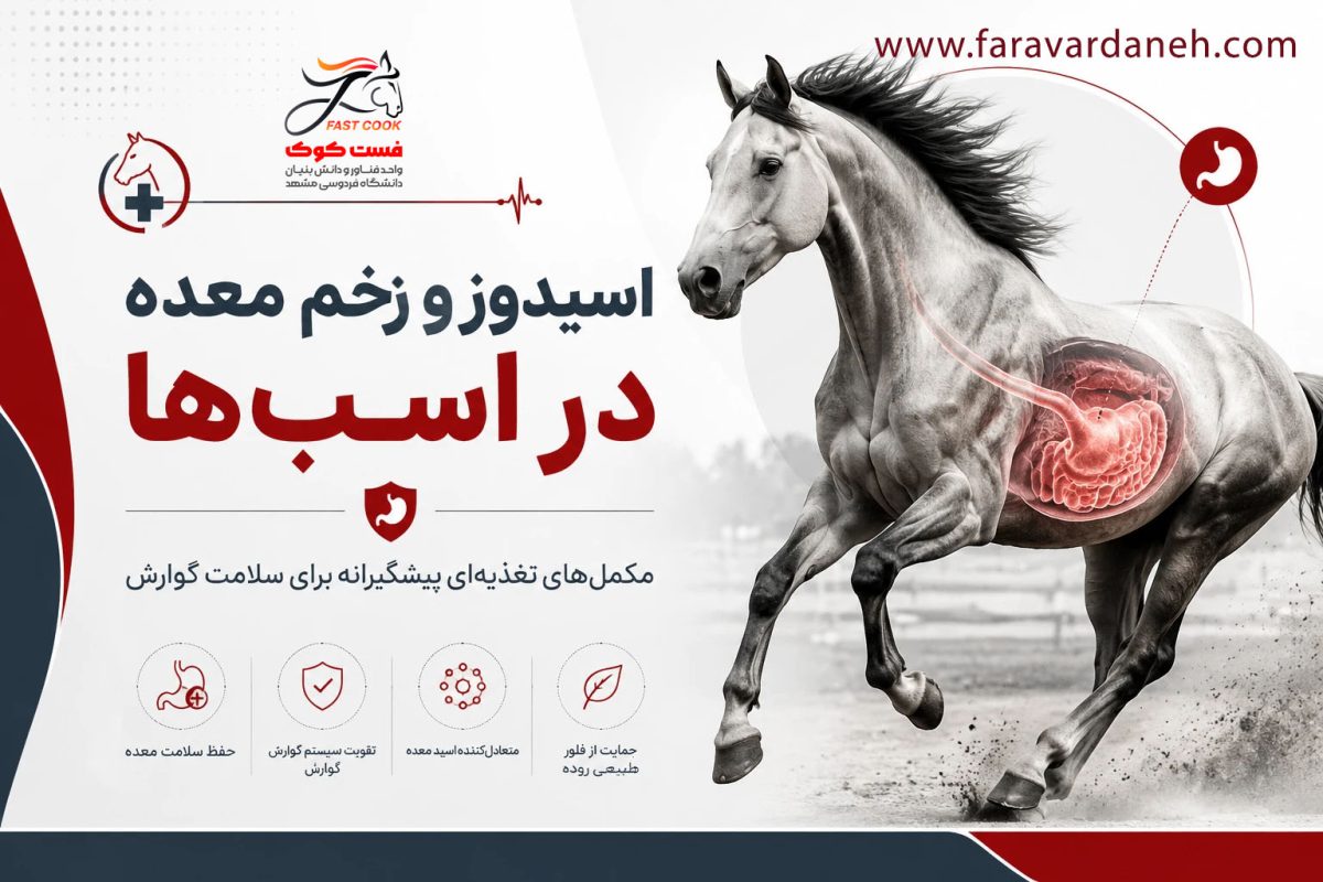 اسیدوز و زخم معده اسب، راهکارهای تغذیه‌ای و بهترین مکمل‌های پیشنهادی برای سلامت گوارش اسب