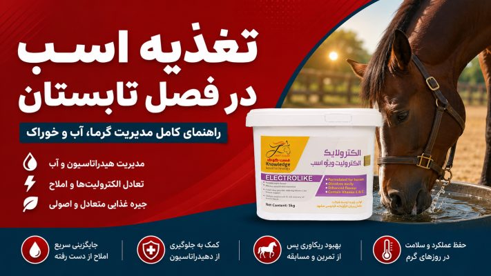 تغذیه اسب در تابستان؛ راهنمای تغذیه اسب، مدیریت الکترولیت اسب، انتخاب خوراک و مکمل اسب در تابستان و پیشگیری از گرمازدگی اسب در هوای گرم.
