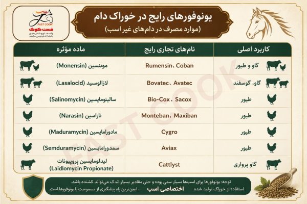 آیا میتوان به اسب خوراک گاو داد