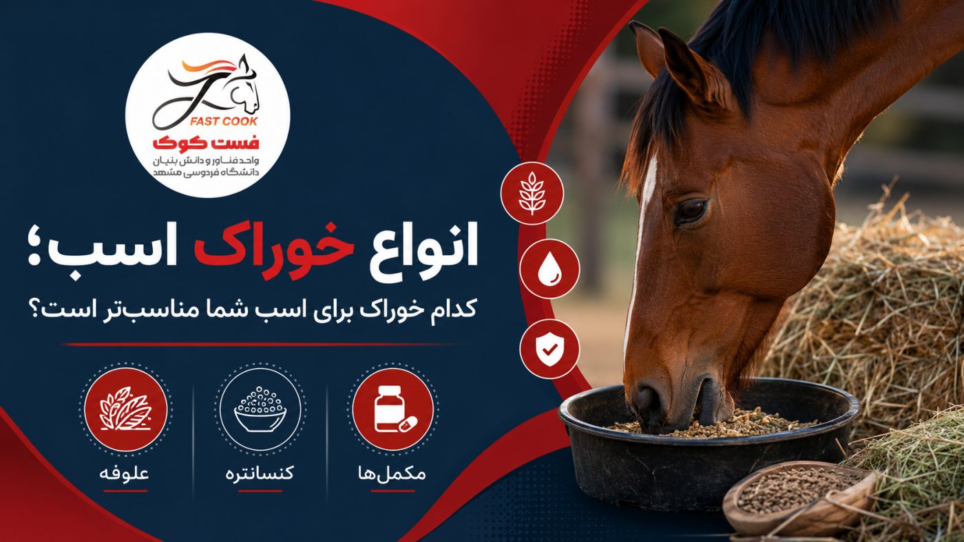با انواع غذای اسب شامل علوفه و کنسانتره اسب، خوراک پلت و مکمل اسب آشنا شوید و بهترین خوراک اسب را متناسب با سن، فعالیت و نیاز آن انتخاب کنید.