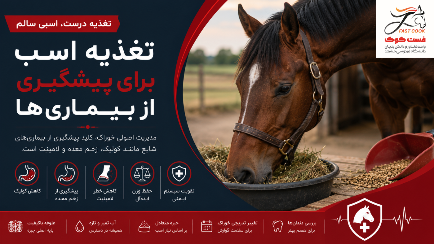 تغذیه اسب برای پیشگیری از بیماری‌ها را بیاموزید. با انتخاب صحیح خوراک اسب، خطر کولیک اسب، زخم معده اسب و لامینیت اسب را کاهش دهید.
